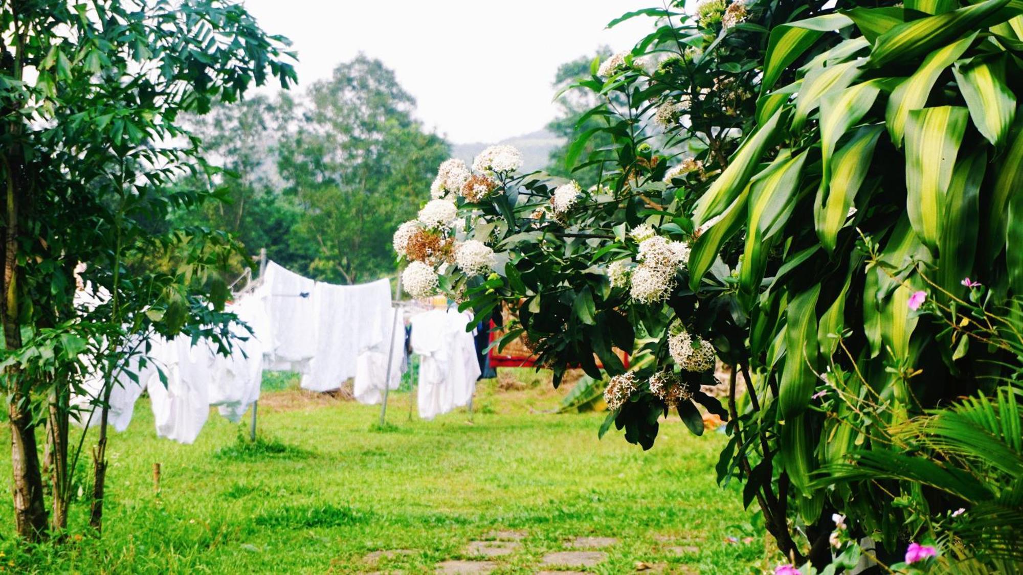 Phong Nha Eco Village Exteriér fotografie