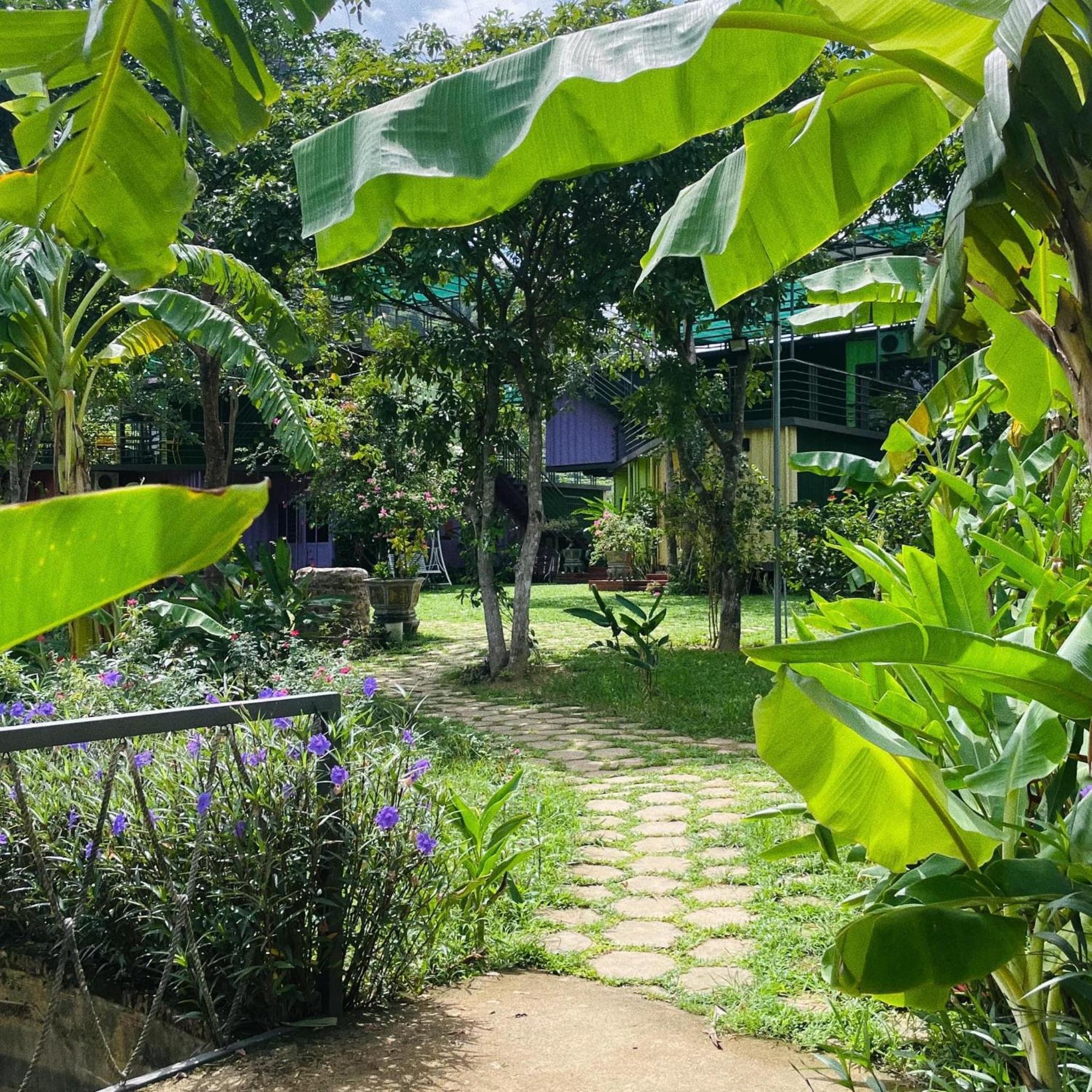 Phong Nha Eco Village Exteriér fotografie
