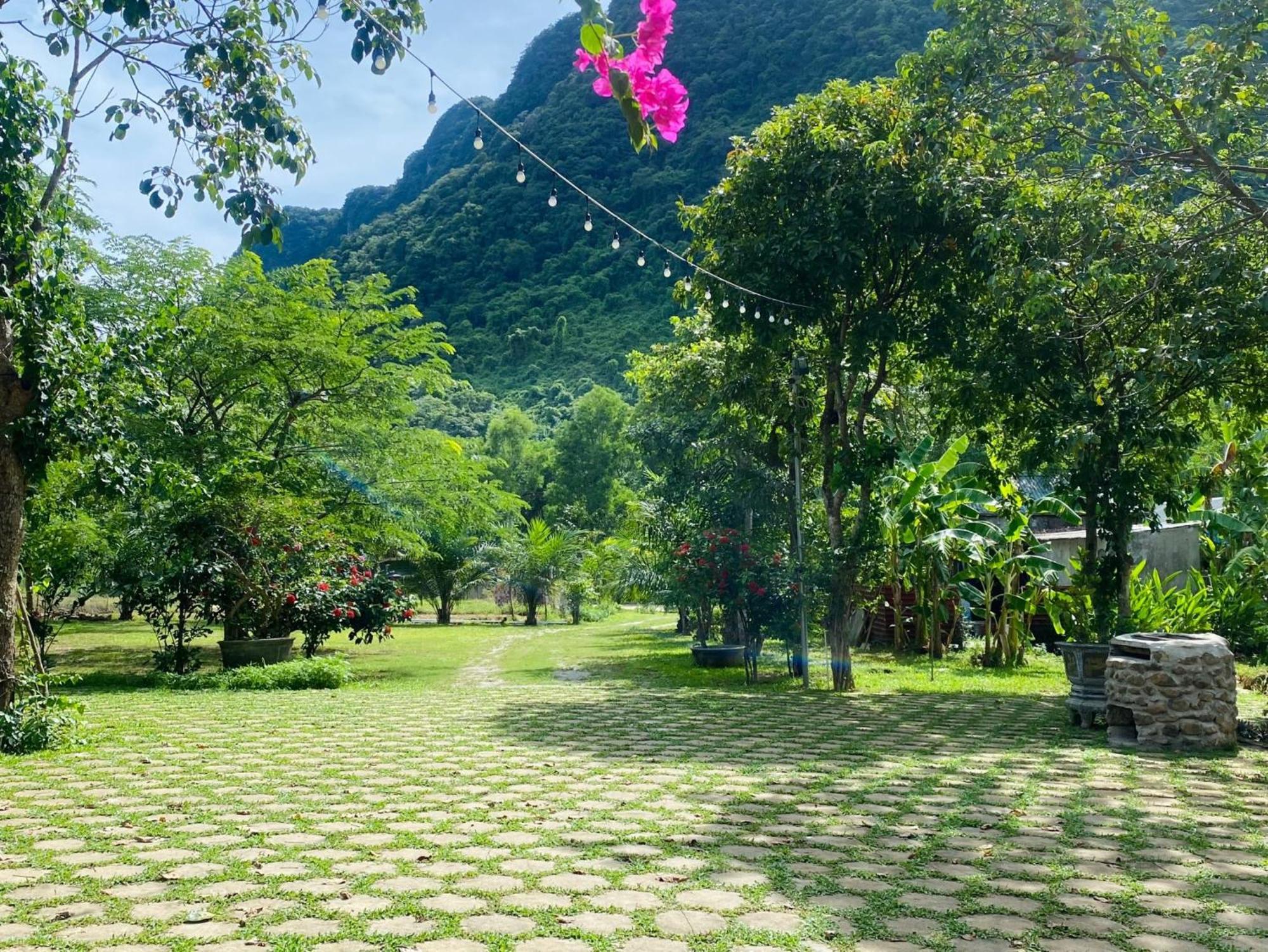 Phong Nha Eco Village Exteriér fotografie