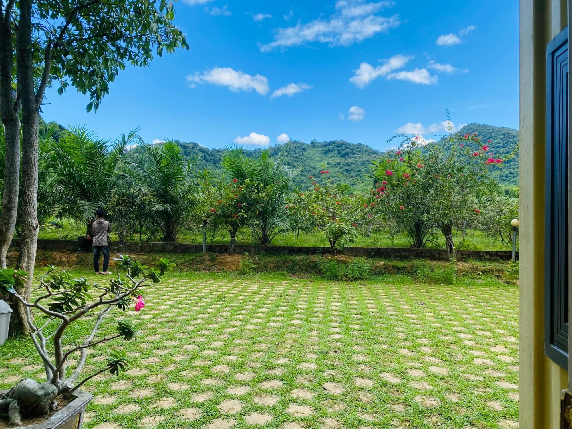 Phong Nha Eco Village Exteriér fotografie