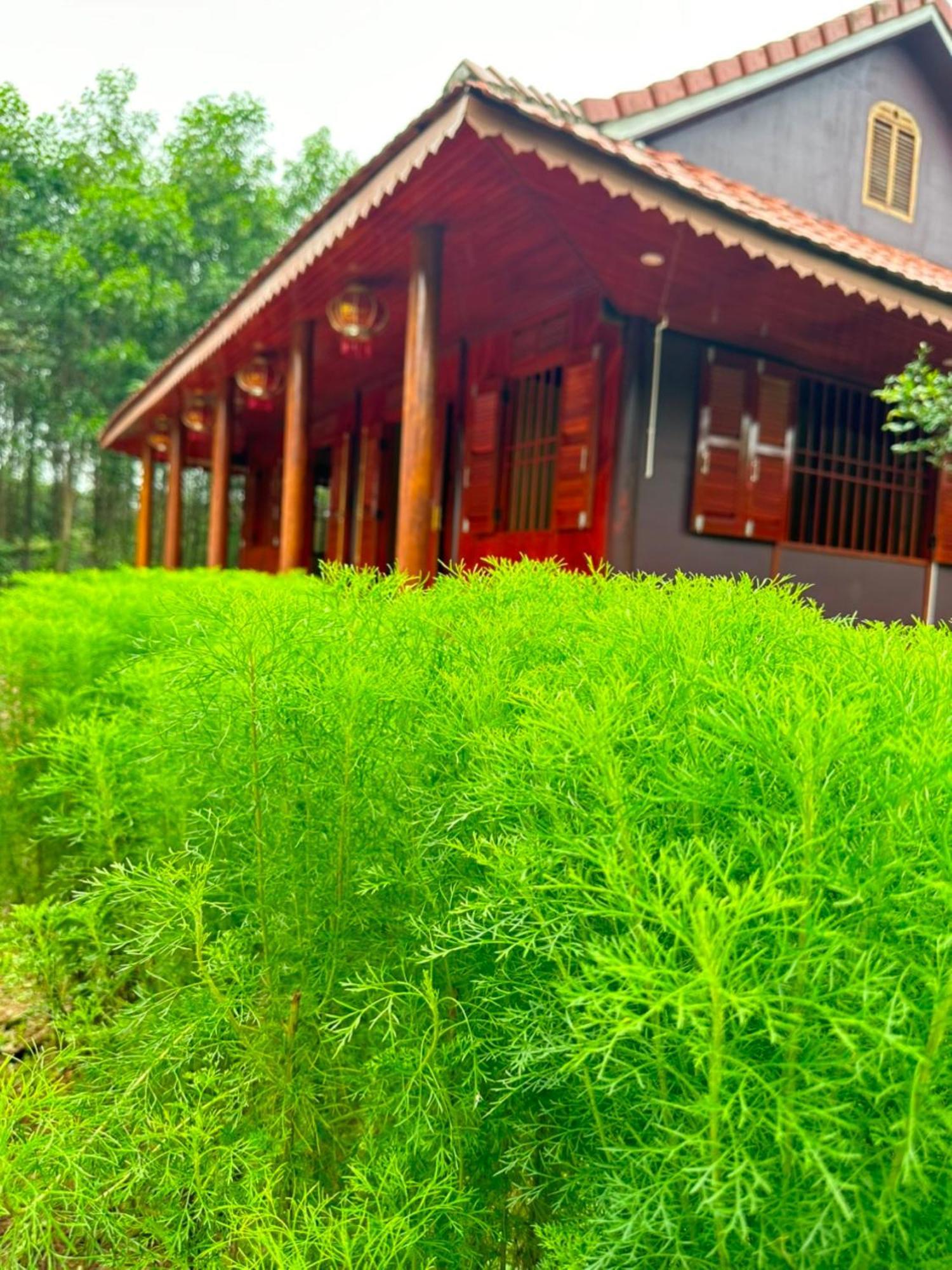 Phong Nha Eco Village Exteriér fotografie