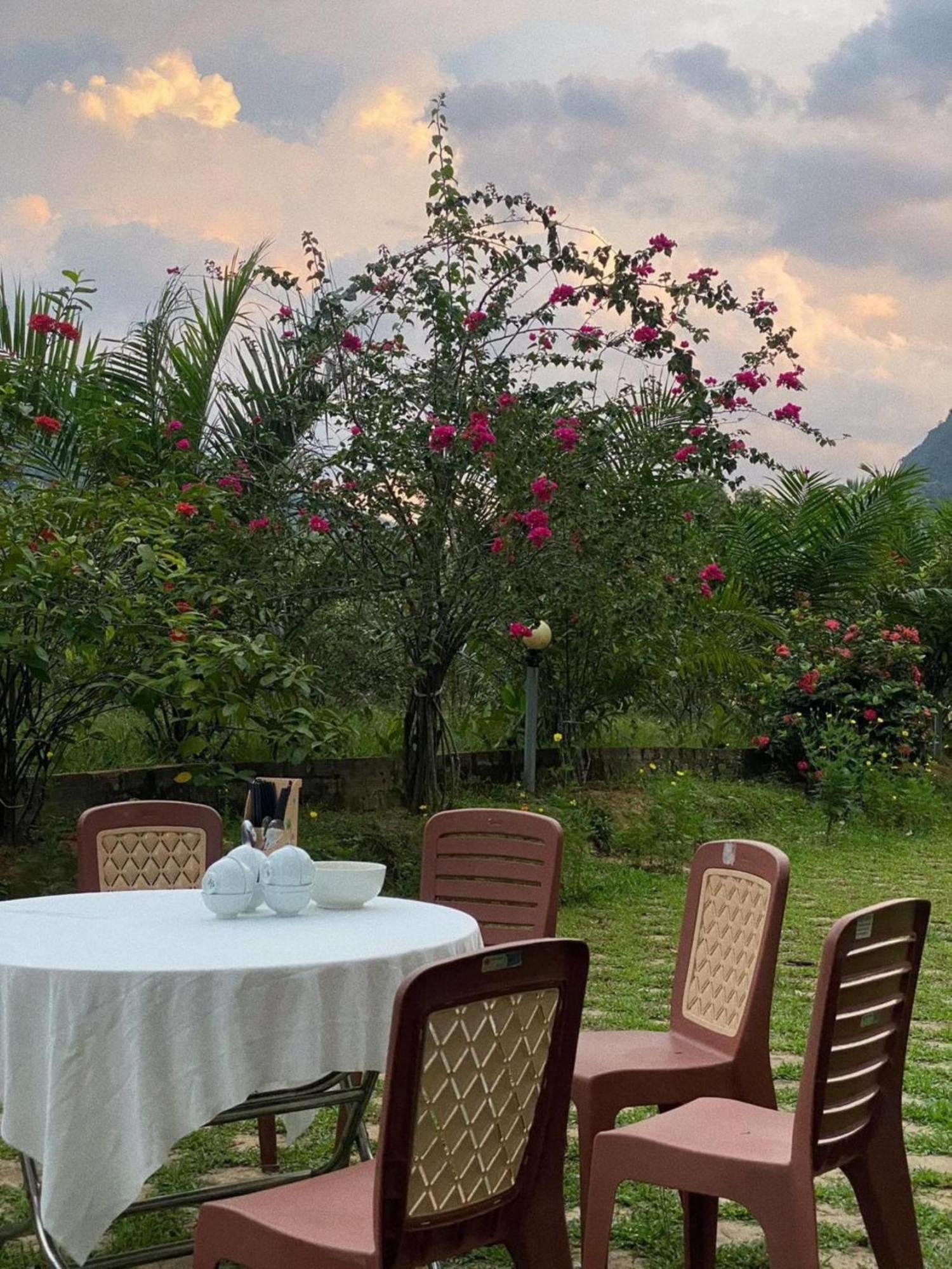 Phong Nha Eco Village Exteriér fotografie