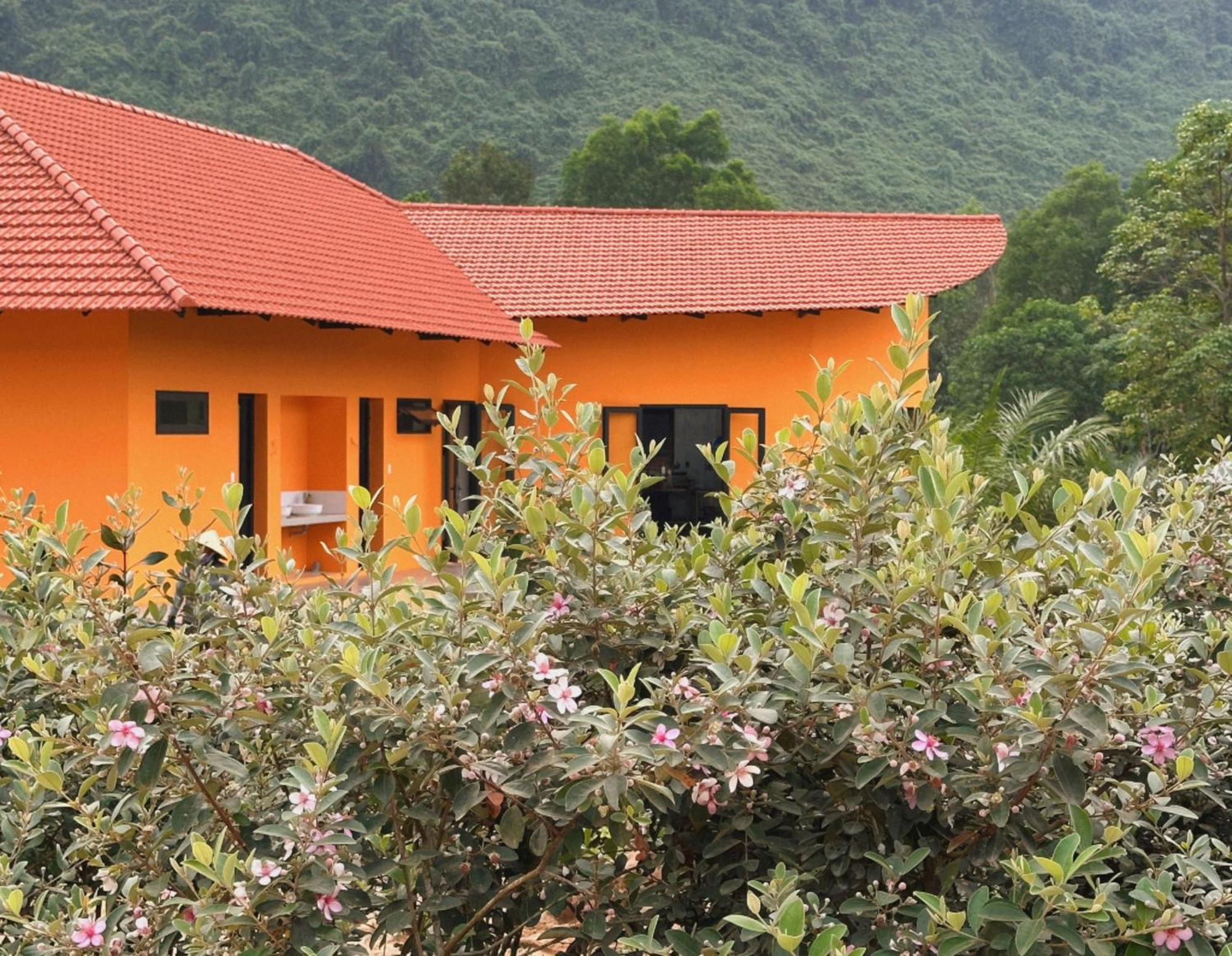 Phong Nha Eco Village Exteriér fotografie
