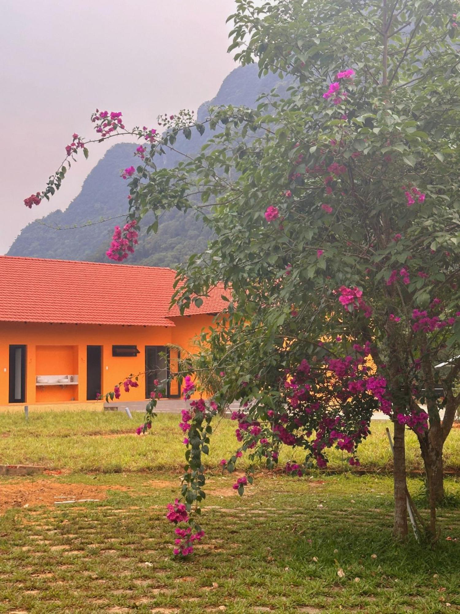 Phong Nha Eco Village Exteriér fotografie