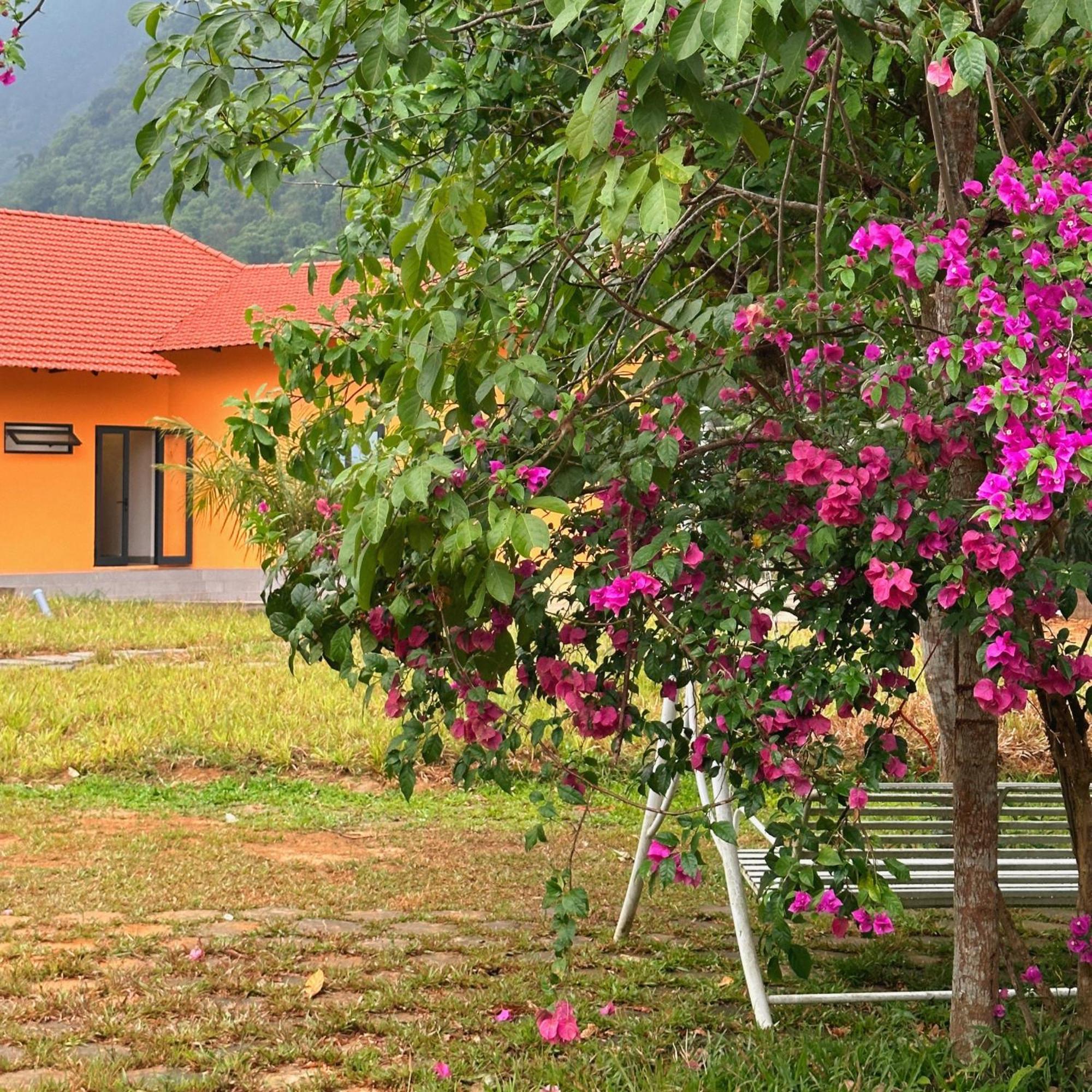 Phong Nha Eco Village Exteriér fotografie